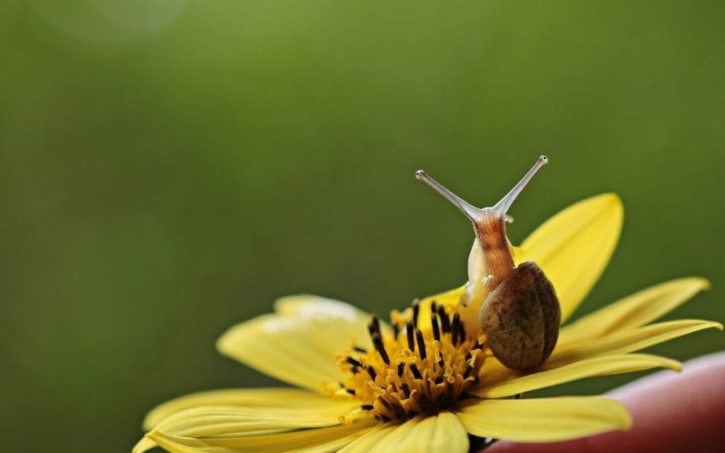 Éld meg az életedet!