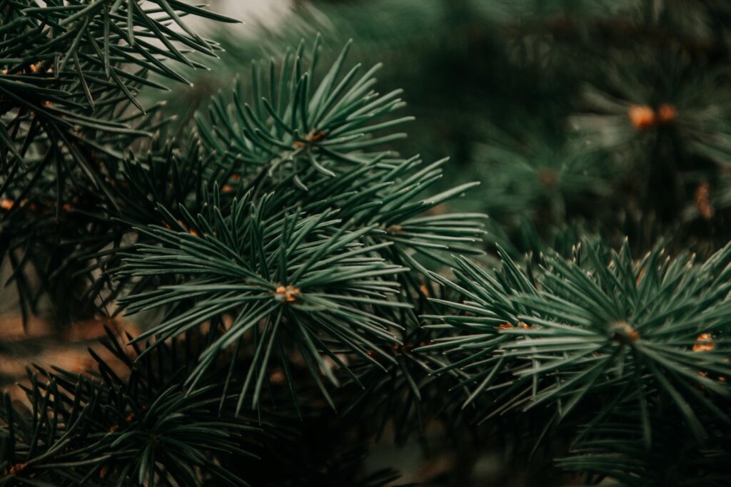 A jóga segít a karácsonyi készülődésben is