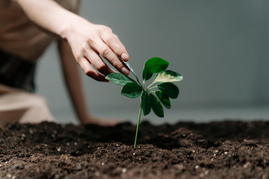 Hogyan vállaljunk felelősséget a tetteinkért?