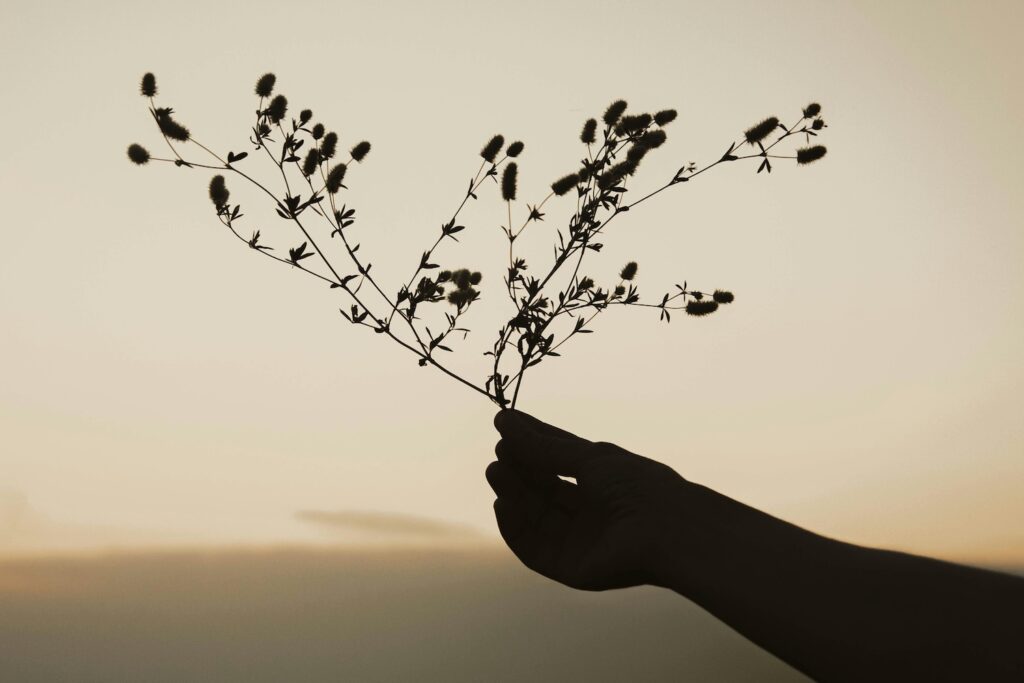 A lemondás nehézségei